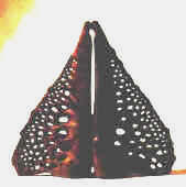 GALERIE PAARE