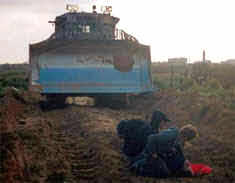   Friedensaktivisten k�mmern sich um  Rachel, nachdem sie durch den Bulldozer verletzt wurde.
		  Rafah, okkupiertes Gaza, am 16. M�rz 2003.